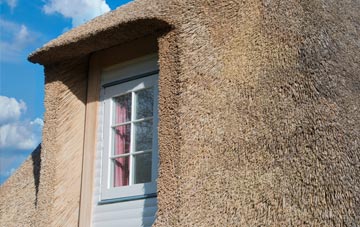 Yarde thatch roof disadvantages